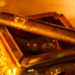 Zigarre Zigarren für Einsteiger oder Anfänger